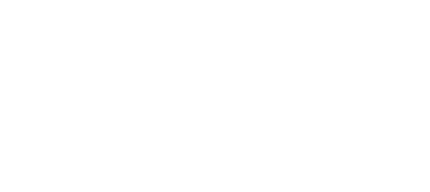 admiral landing logo